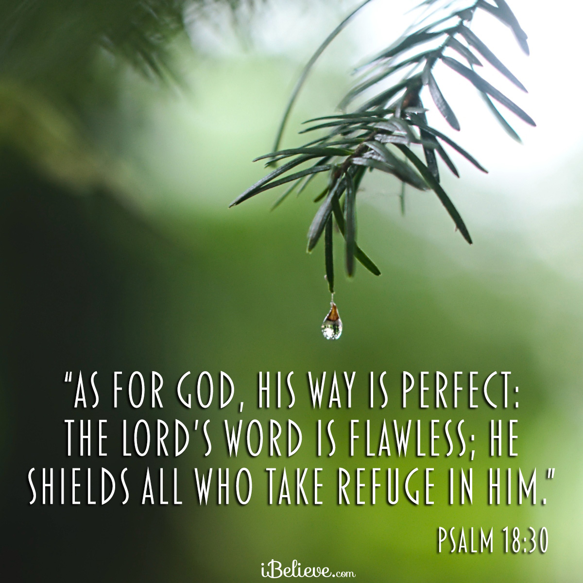 Psalm 18:30