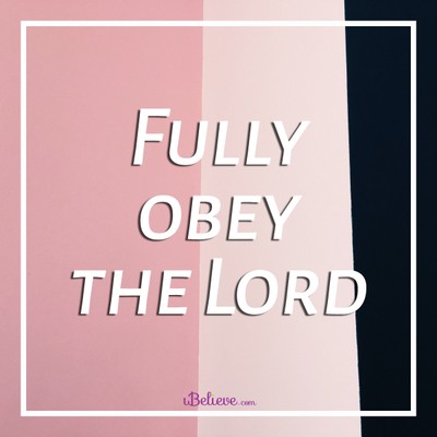 Fully Obey