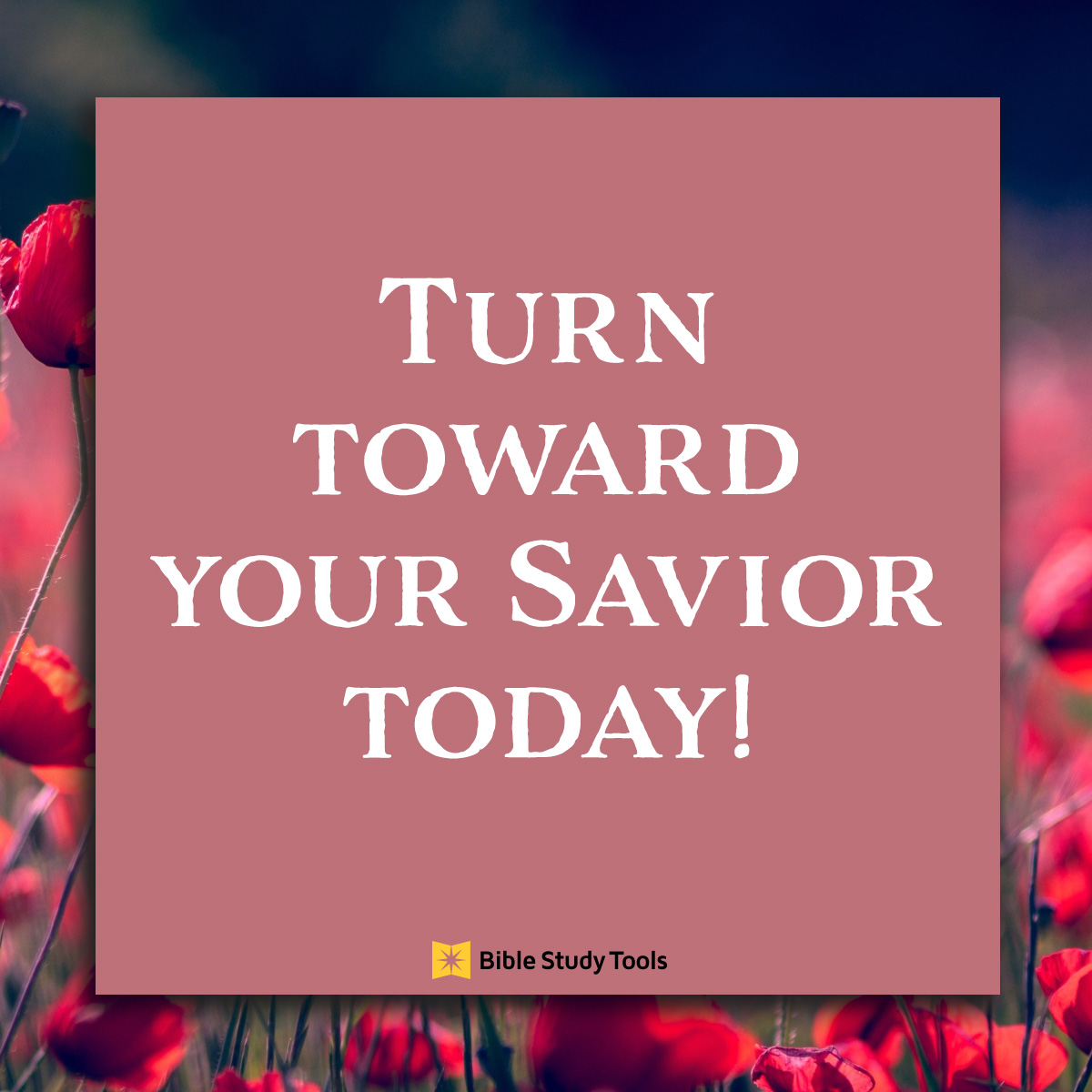 turn toward your savior