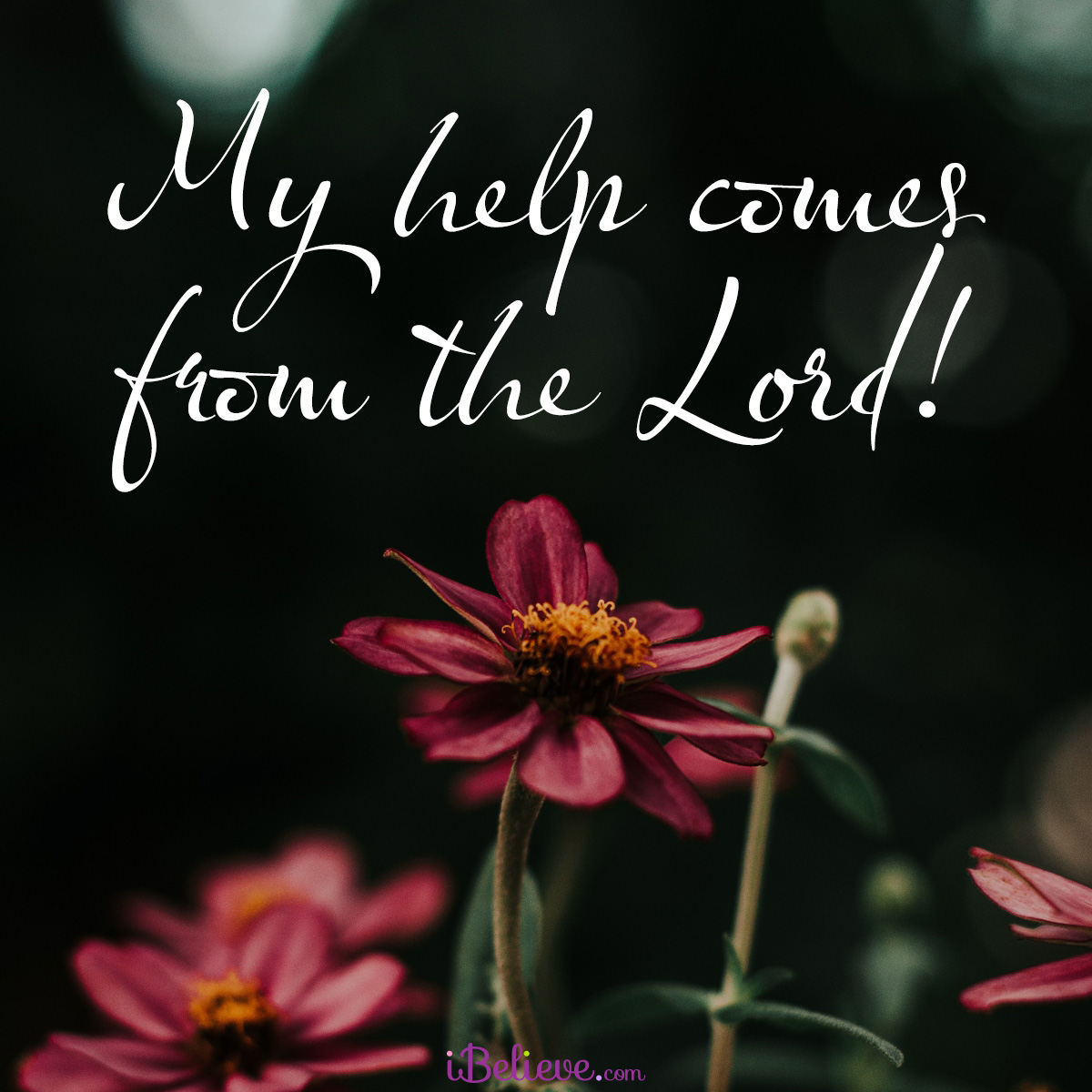 My Help comes from the Lord