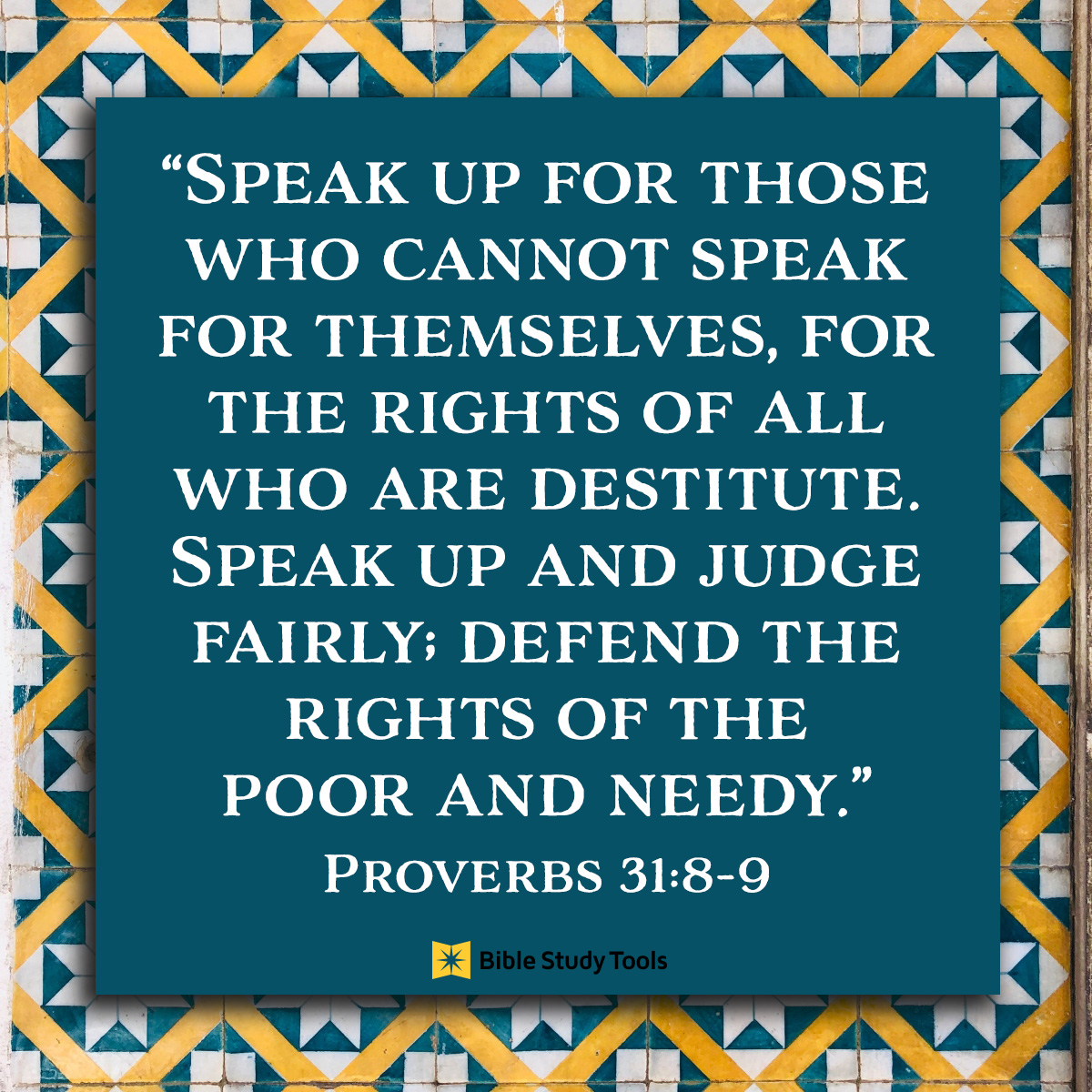 Speak Up for Social Injustices Protest or Service Project Tee Proverbs 31 8-9 Bible Verse T Shirt for Men or Women