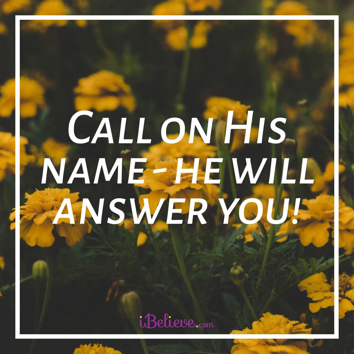call on his name