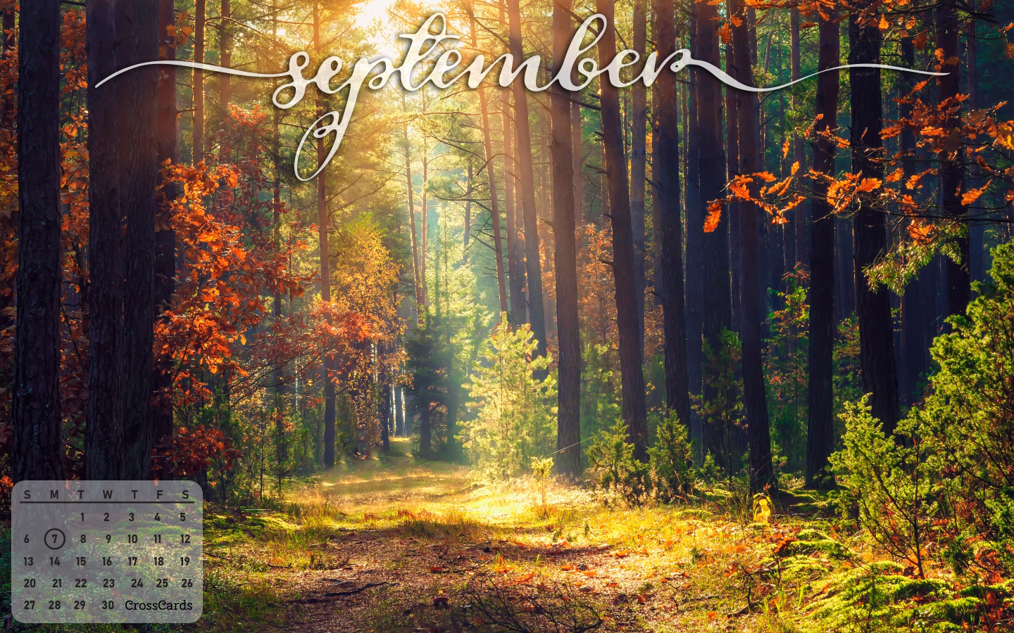 Free Vector | Watercolor hello september background for autumn celebration