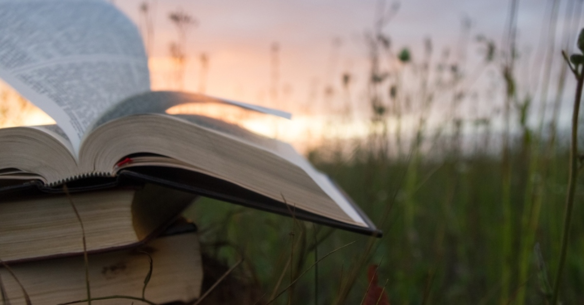 stack of bibles outdoors in wildflower field