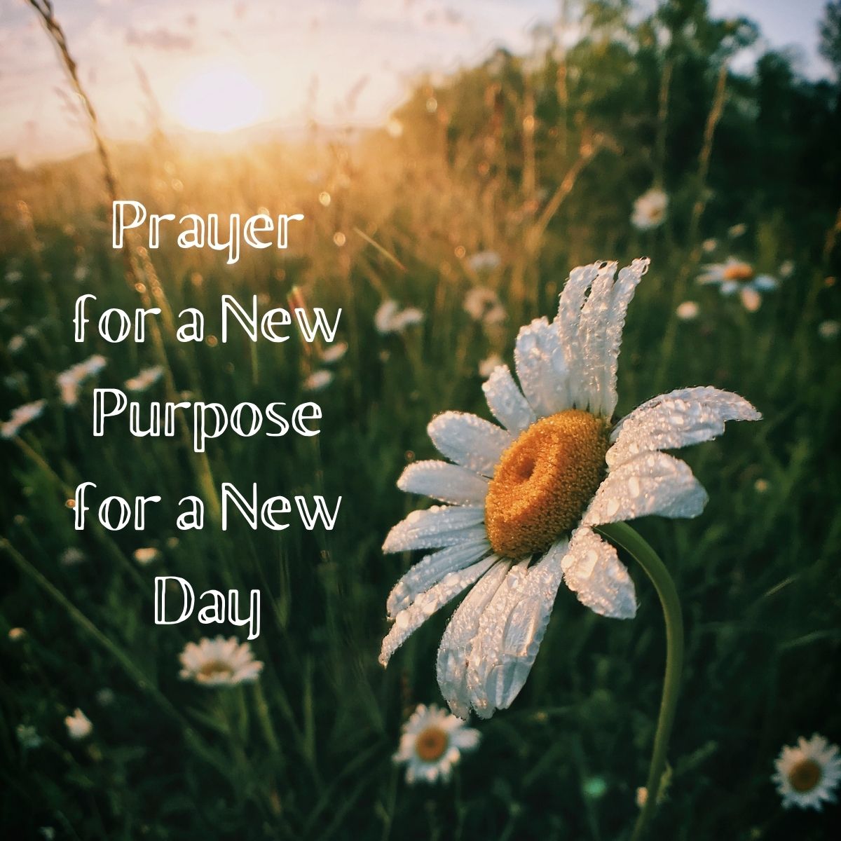 Prayer For Starting A New Day 7 Sanctified Prayers For New Beginnings ...