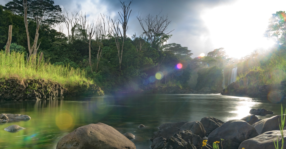 lush Hawaii river landscape to signify Garden of Eden