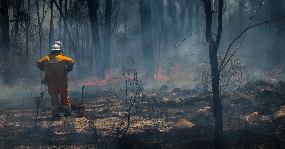 first responder fire fighter standing in ashes, prayer for California fires