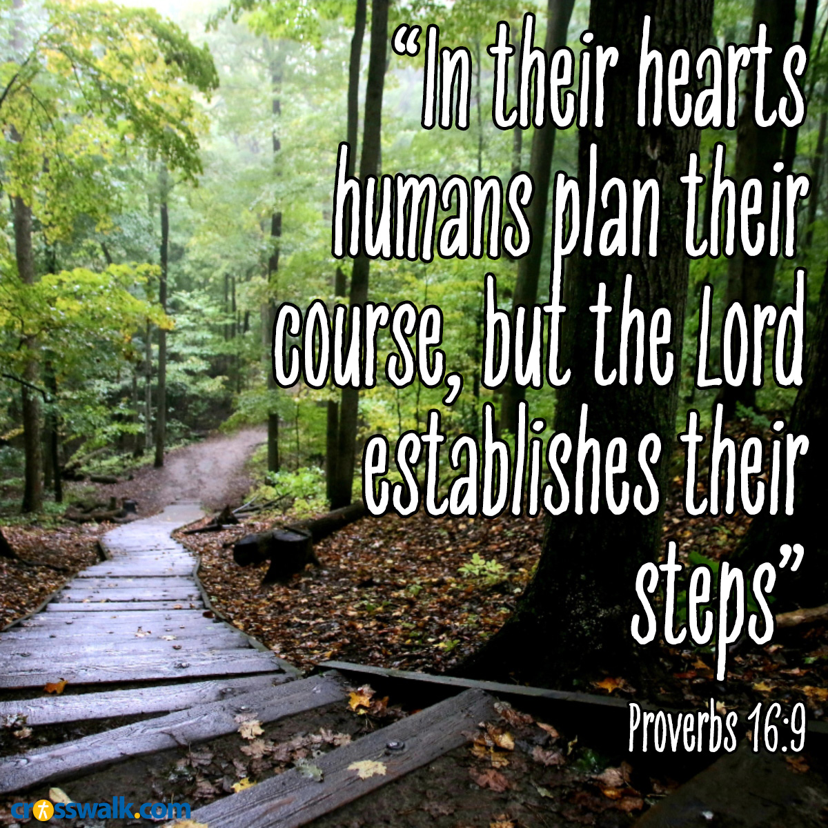 Proverbs 16:9 sq