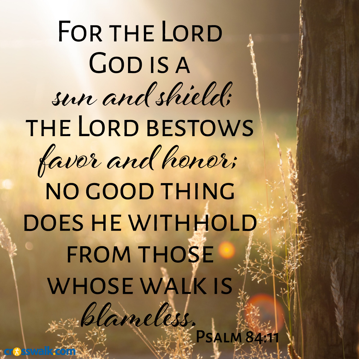 Psalm 84:11 inspirational image