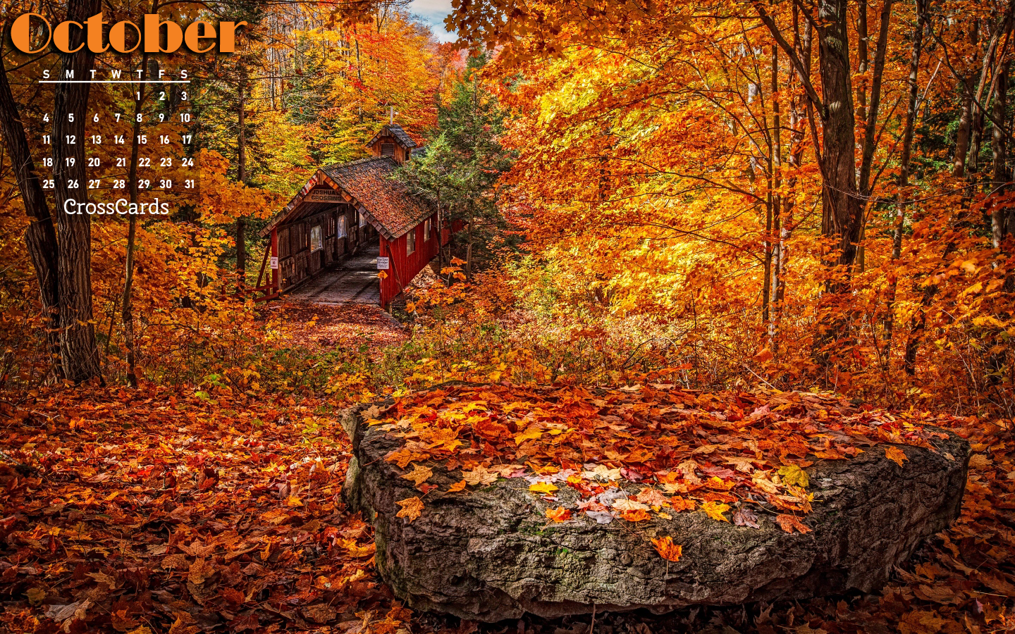 October 2020 - Autumn Colors mobile phone wallpaper