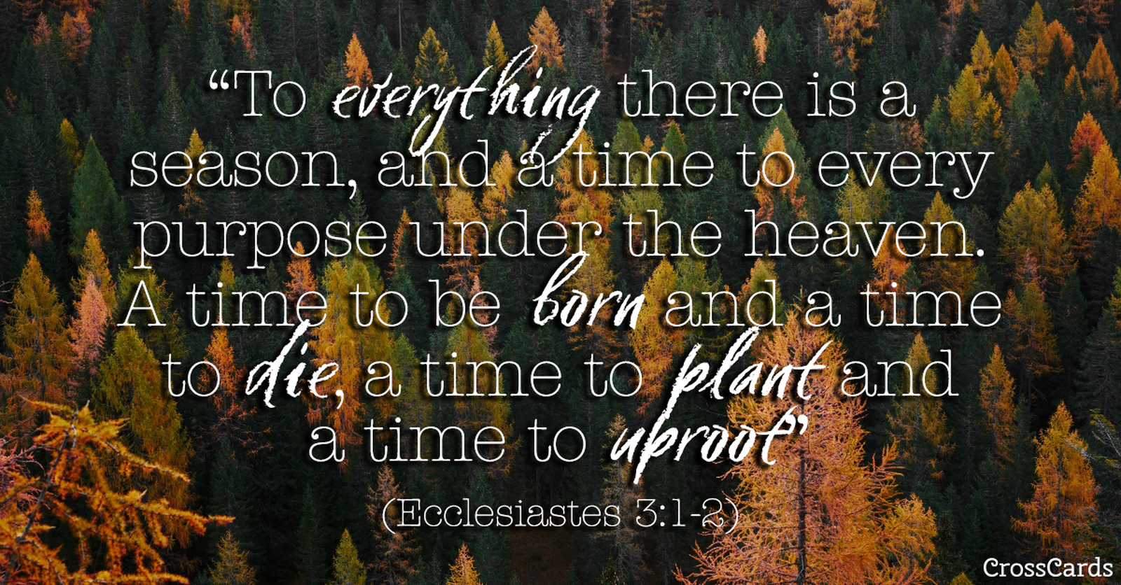 Ecclesiastes 3:1-2 - A Season for Everything