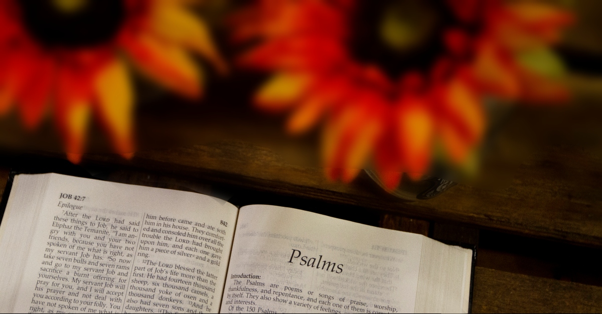 Psalm in the Bible with sunflowers