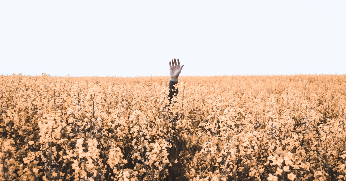 What Is the Meaning of 'You Reap What You Sow'? - Christianity