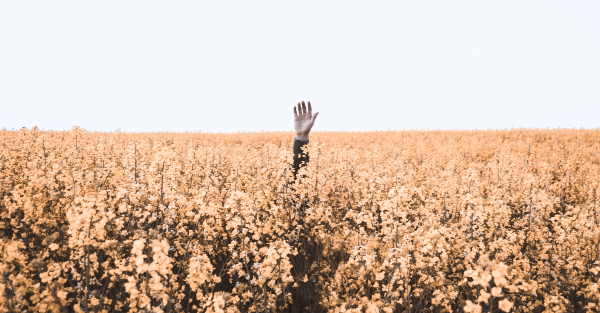 hand of lost person raised in a field