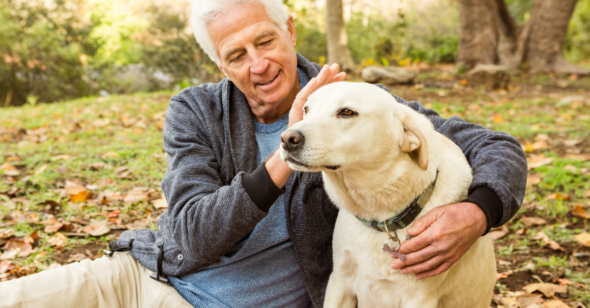 senior mature man relaxing with dog in park