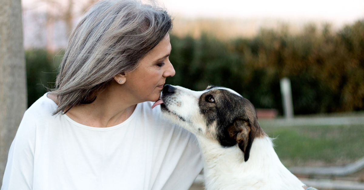 dog kissing senior mature woman