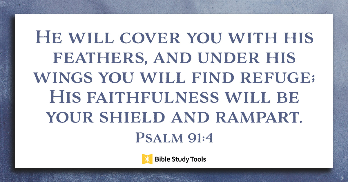 Divine Details: Bible Cover - Brown Refuge - Psalm 91:4