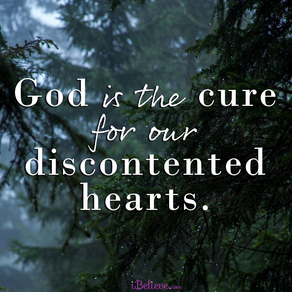 discontented-hearts