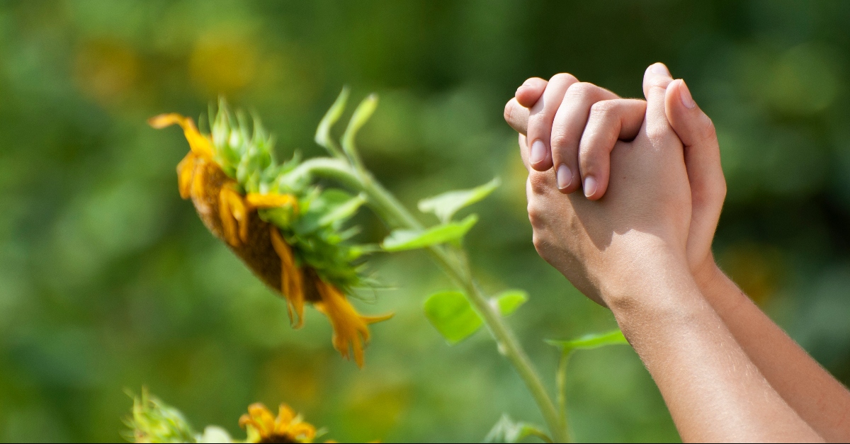 5 Powerful Benefits of Prayer