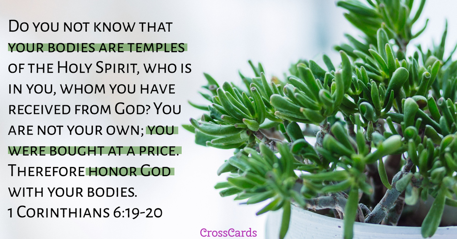 1 Corinthians 6 19 20 Inspirations