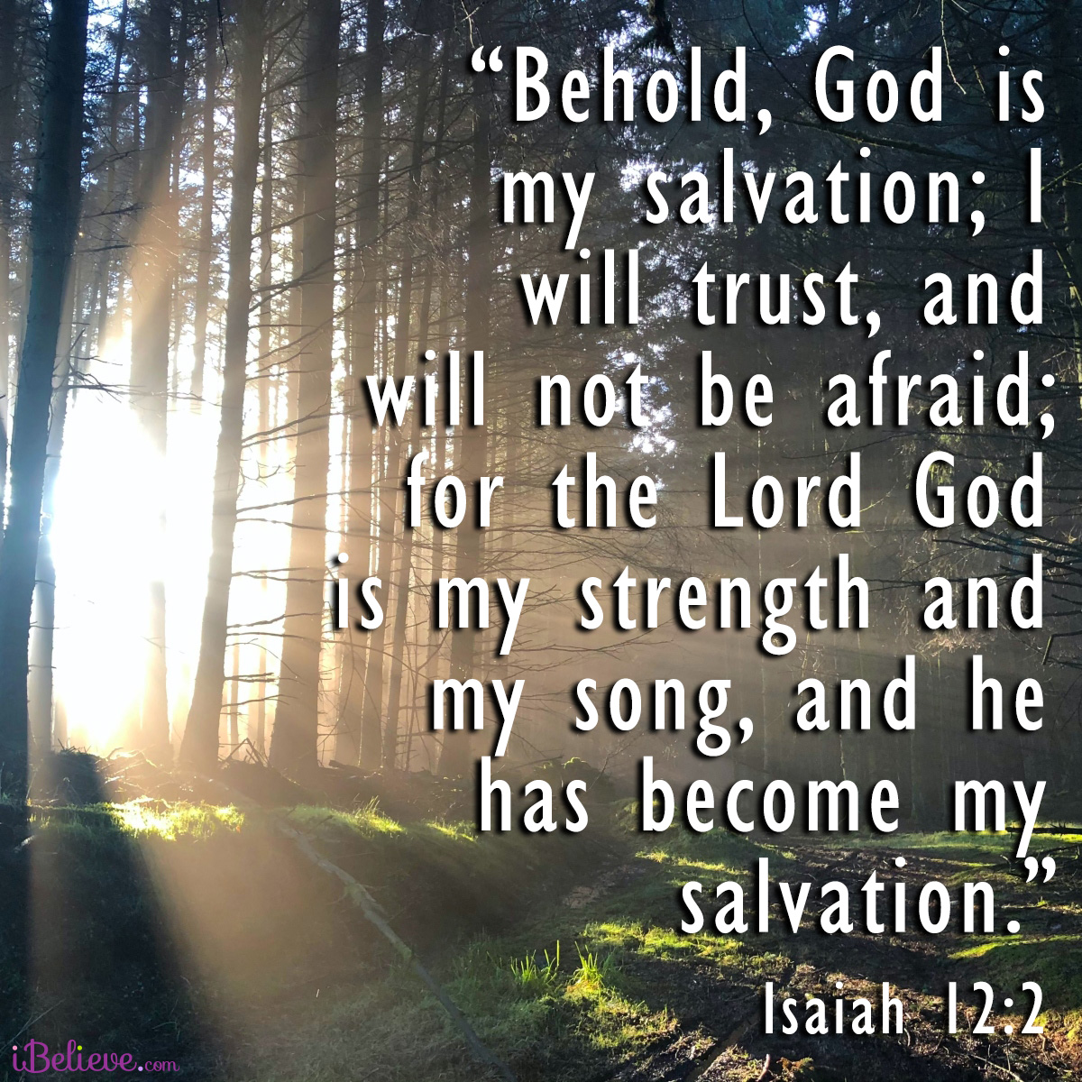 Isaiah-12-2-sq