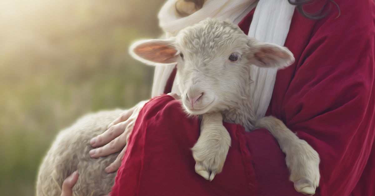 The Importance of the Shepherds in the Christmas Story