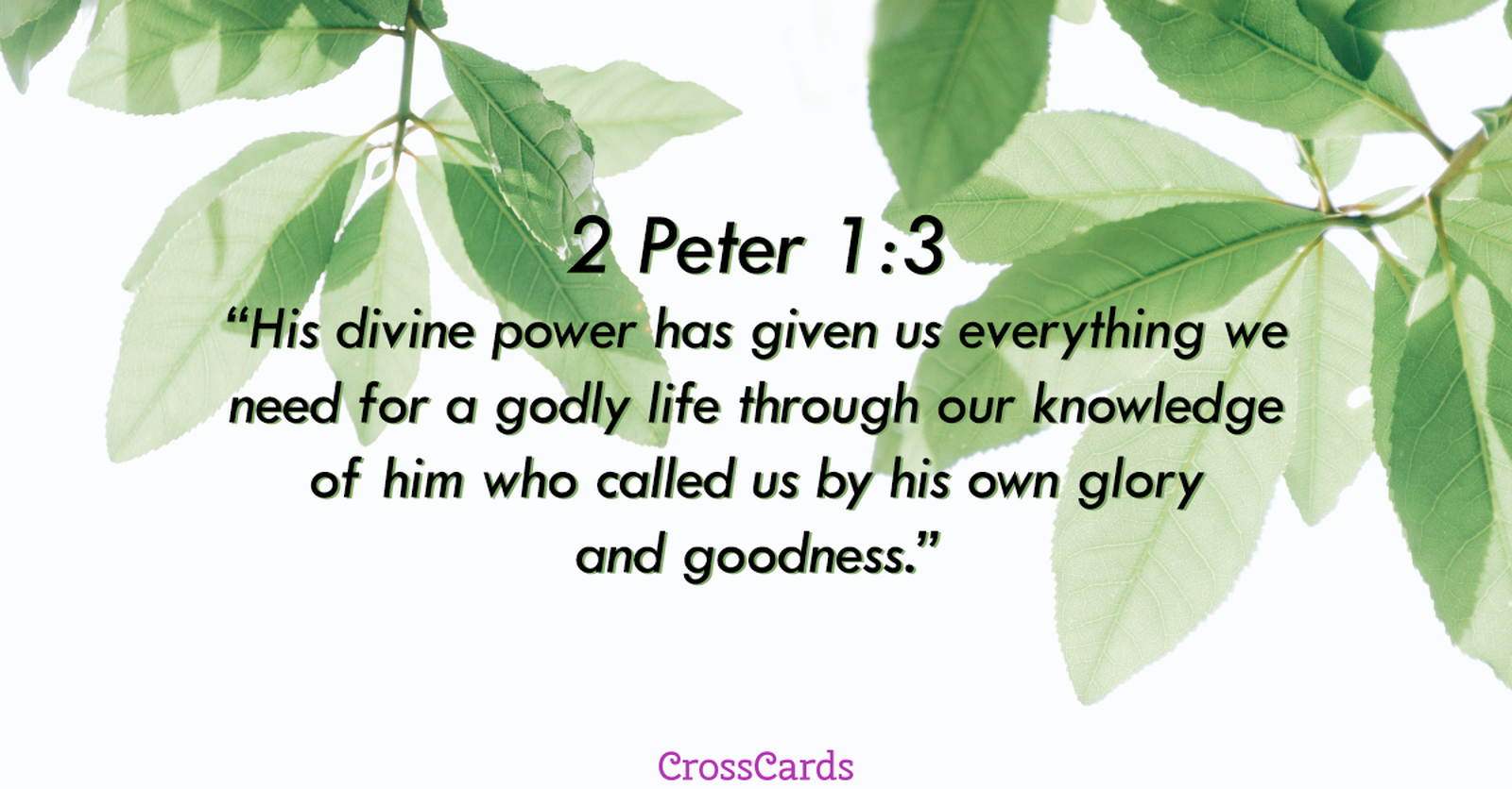 Your Daily Verse 2 Peter 1 3 Your Daily Verse
