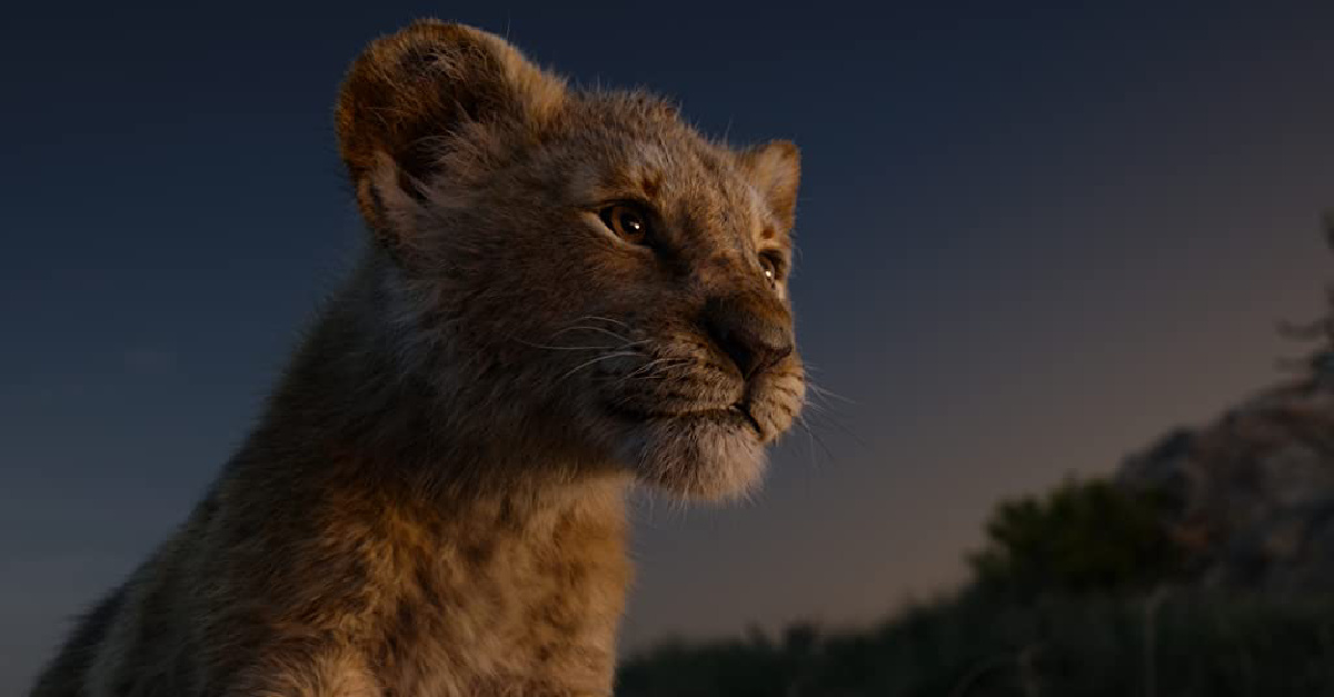 Young Simba in the Live-action Lion King