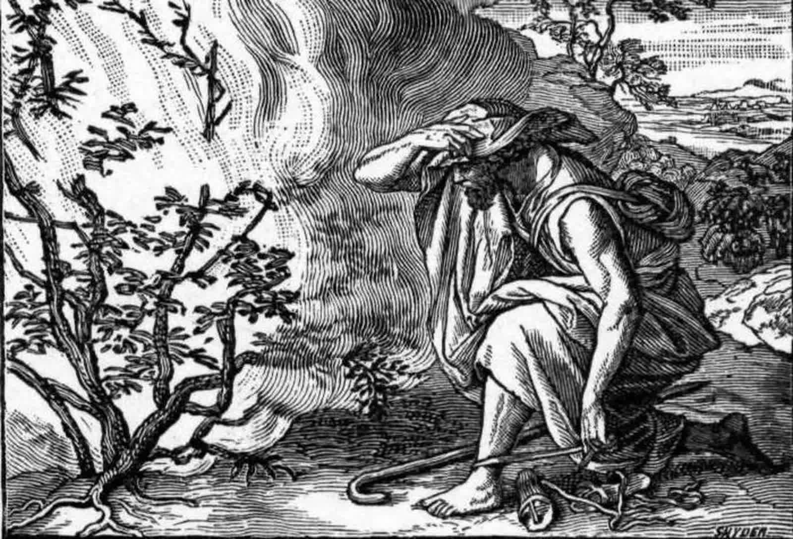 Moses And The Burning Bush Bible Story Explained   18477 Fosterbiblepictures0060 1mosesseesafireburnin 