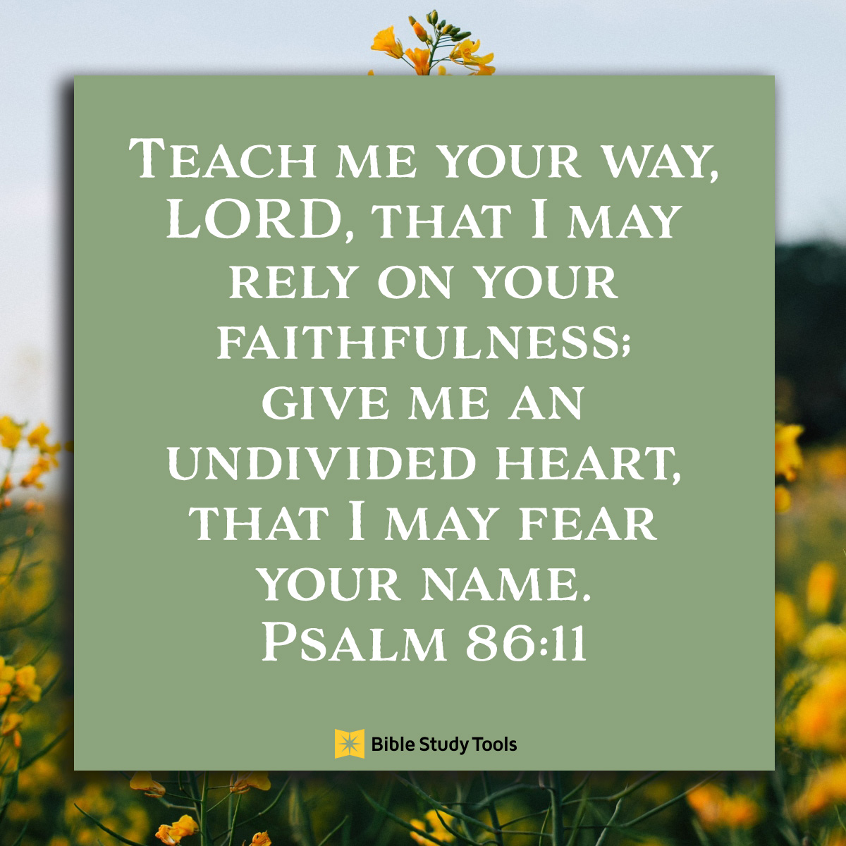 Psalm 86:11, inspirational image