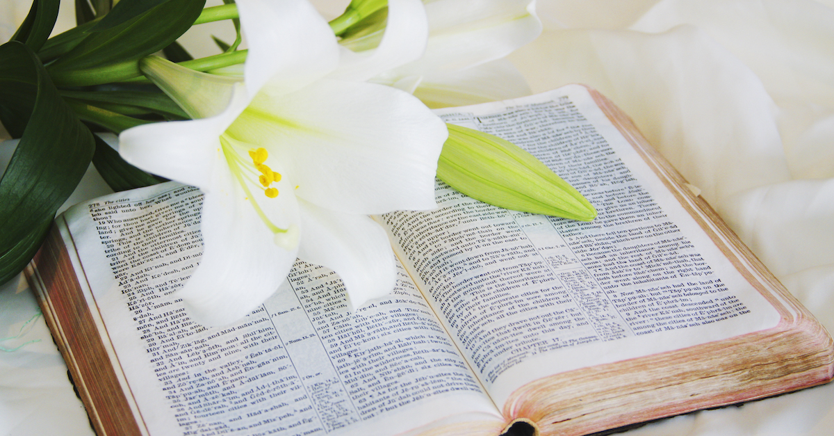 Easter flower on a Bible, Easter Scriptures