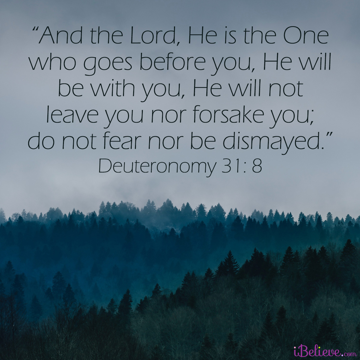 Deuteronomy 31:8, inspirational image