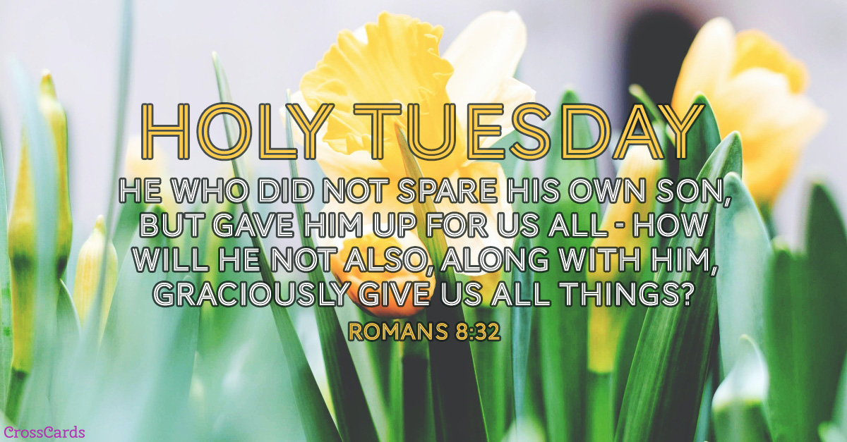 Holy Tuesday - Romans 8:32 ecard, online card