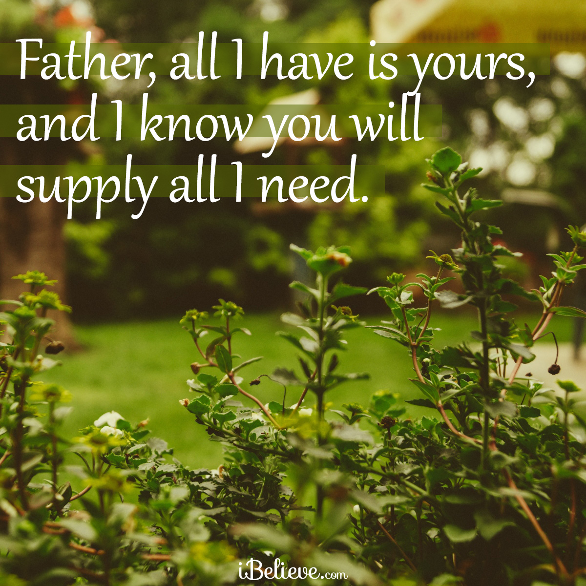 Inspirational image, God will supply all you need