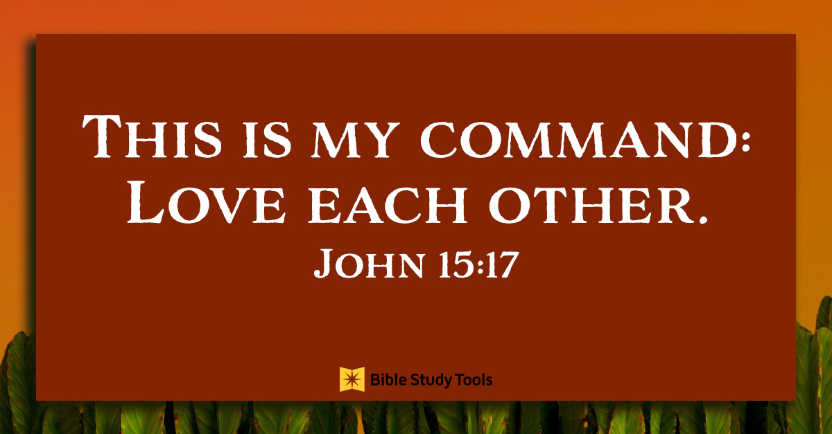 Abiding In Love In A Hurting World John 15 17 Your Daily Bible 