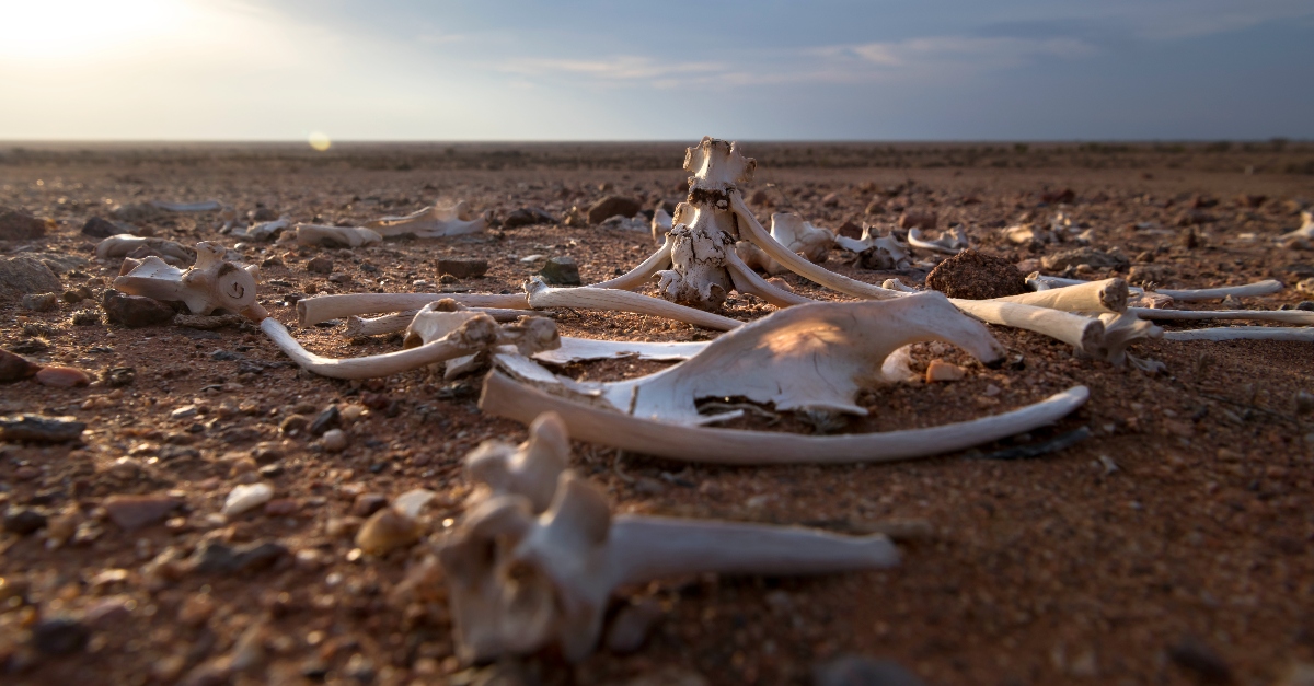 Bones come. Видение Иезекииля о сухих костях. Dry Bones.