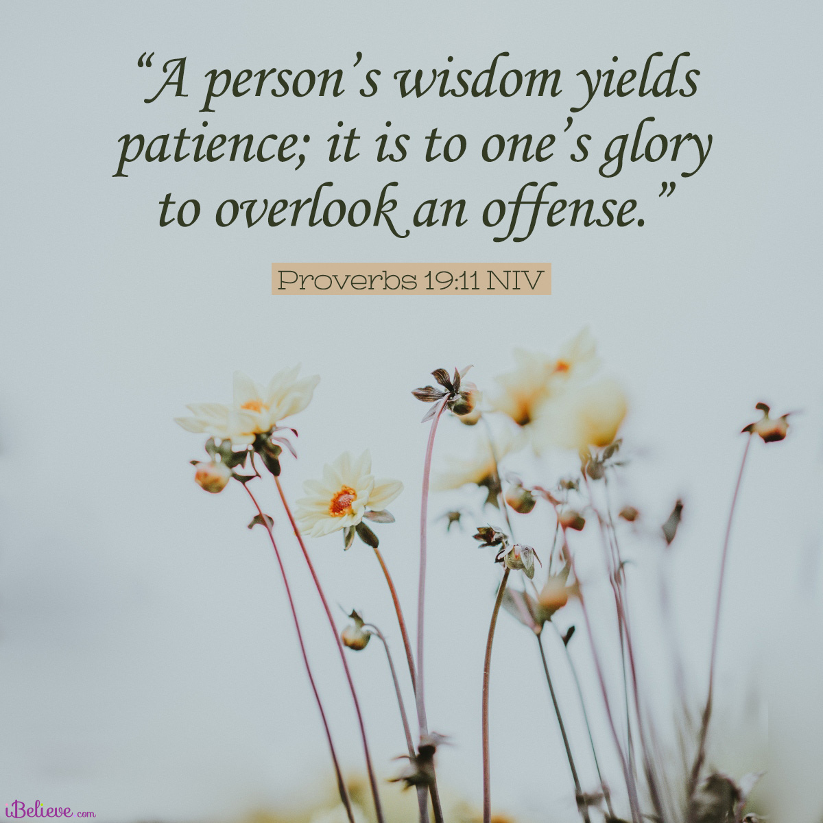 Proverbs 19:11, inspirational image