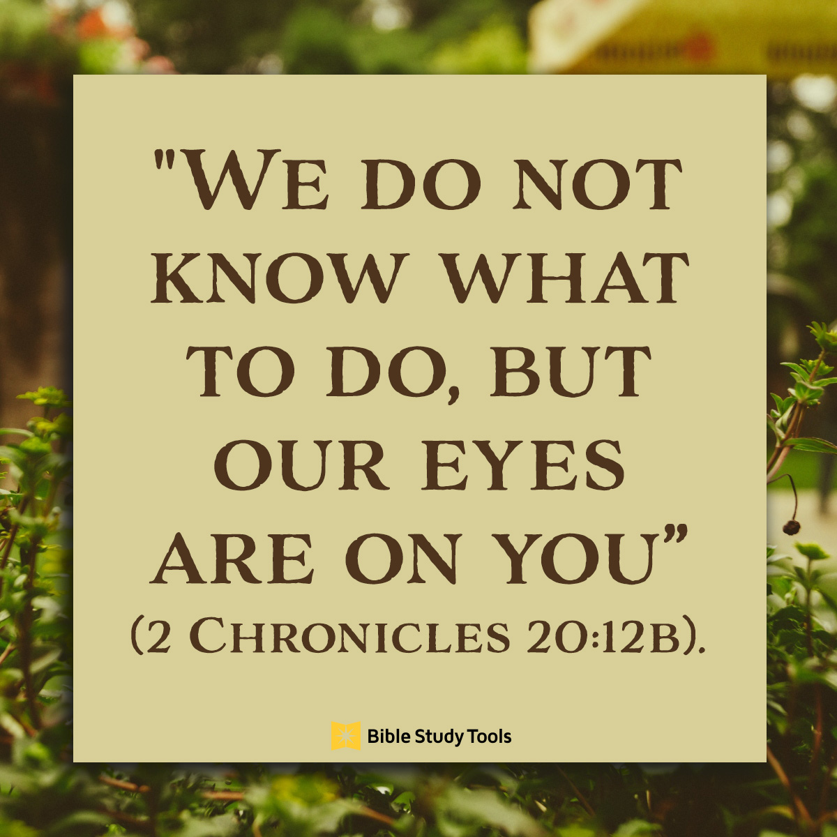 The Next Right Thing 2 Chronicles 20 12 Your Daily Bible Verse 