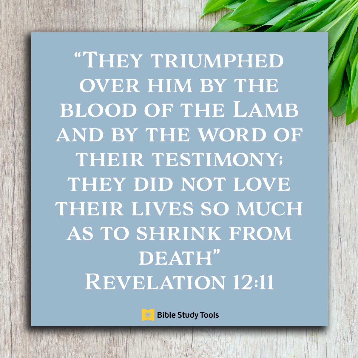 Revelation 12:11, inspirational image