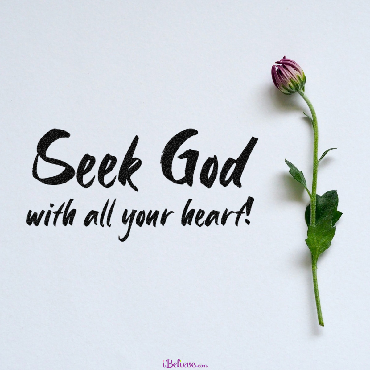 Seek God, inspirational image