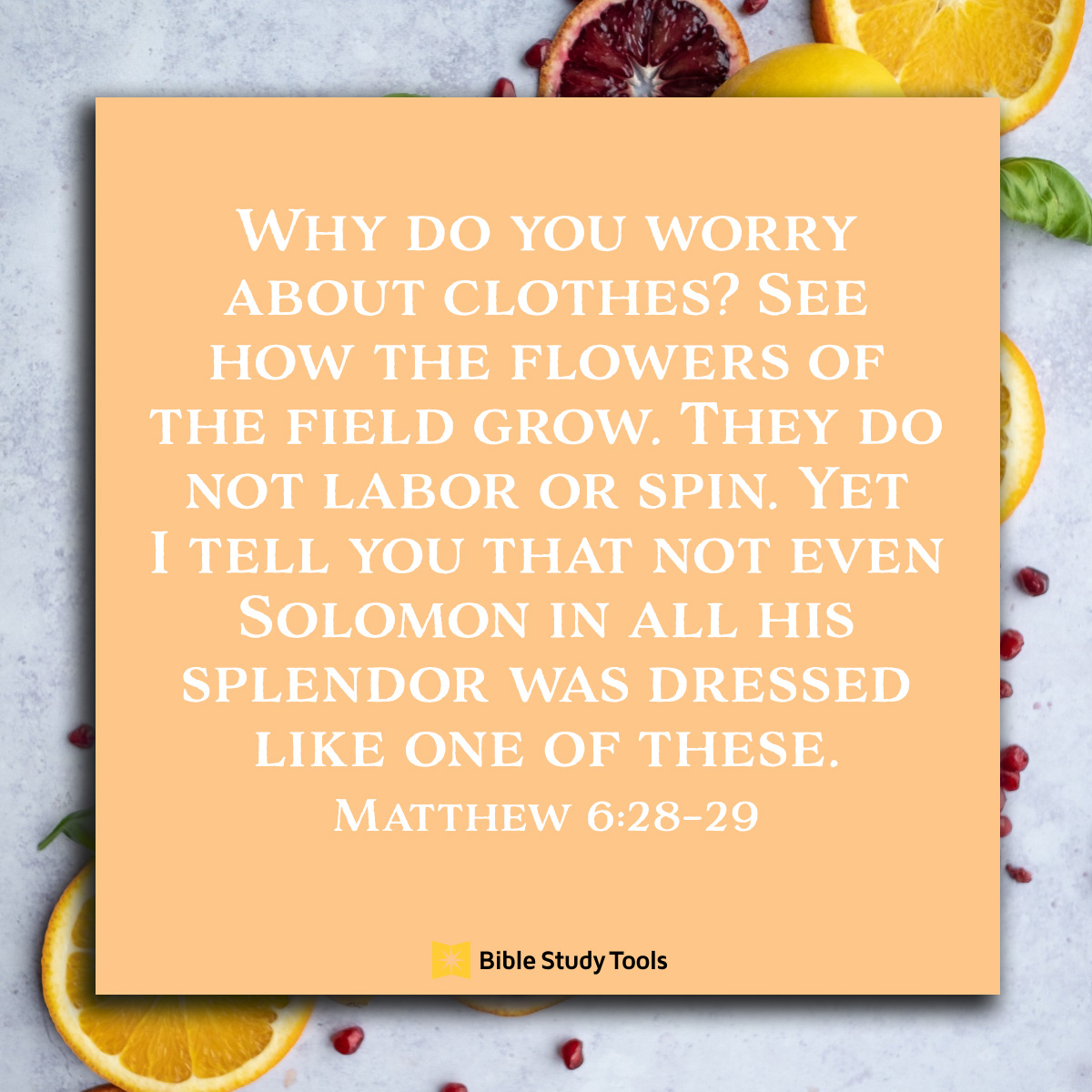 Matthew 6:28-29, inspirational image