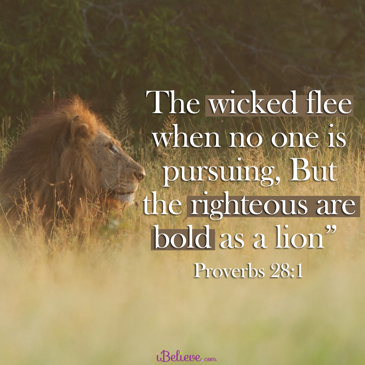 A Prayer For Boldness To Share The Gospel By Emily Rose Massey IBelieve 