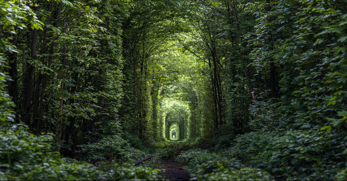 What Is the Immutability of God?