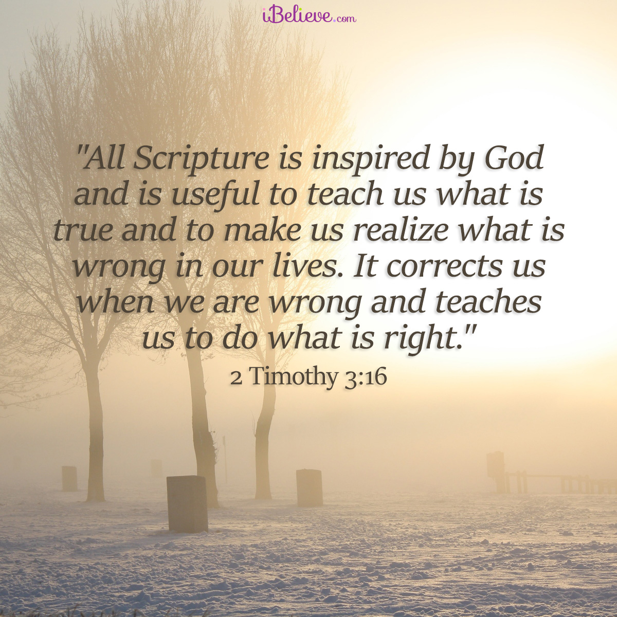 2 Timothy 3:16, inspirational image