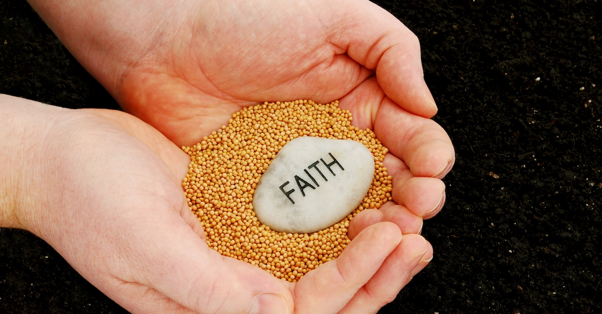 'Faith of a Mustard Seed' Matthew 1720 Meaning Explained