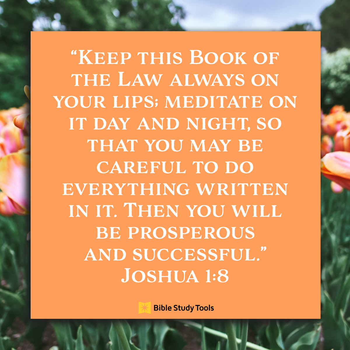 Joshua 1:8; inspirational image