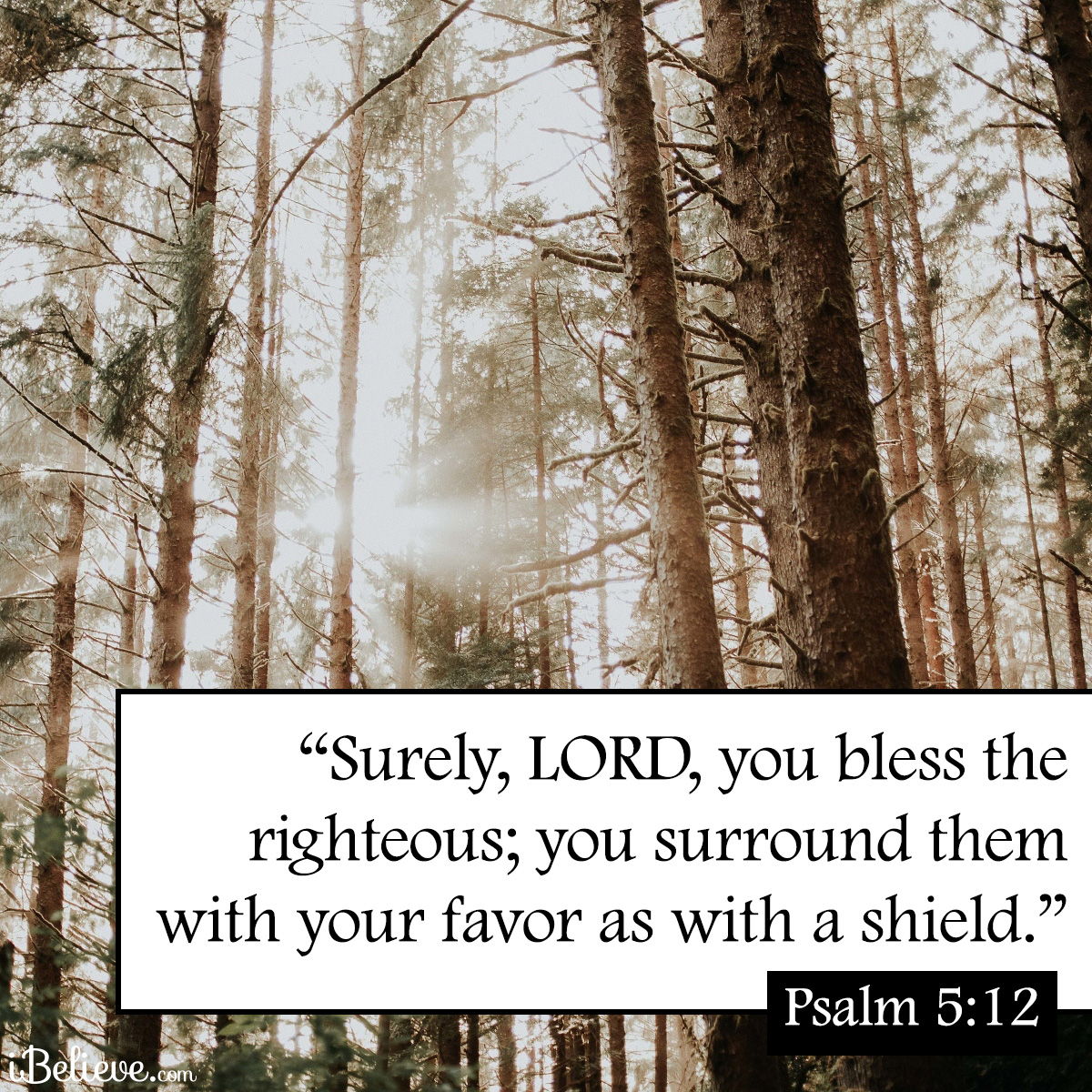 Psalm 5:12, inspirational image