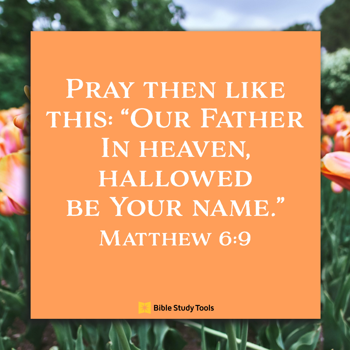 Matthew 6:9, inspirational image