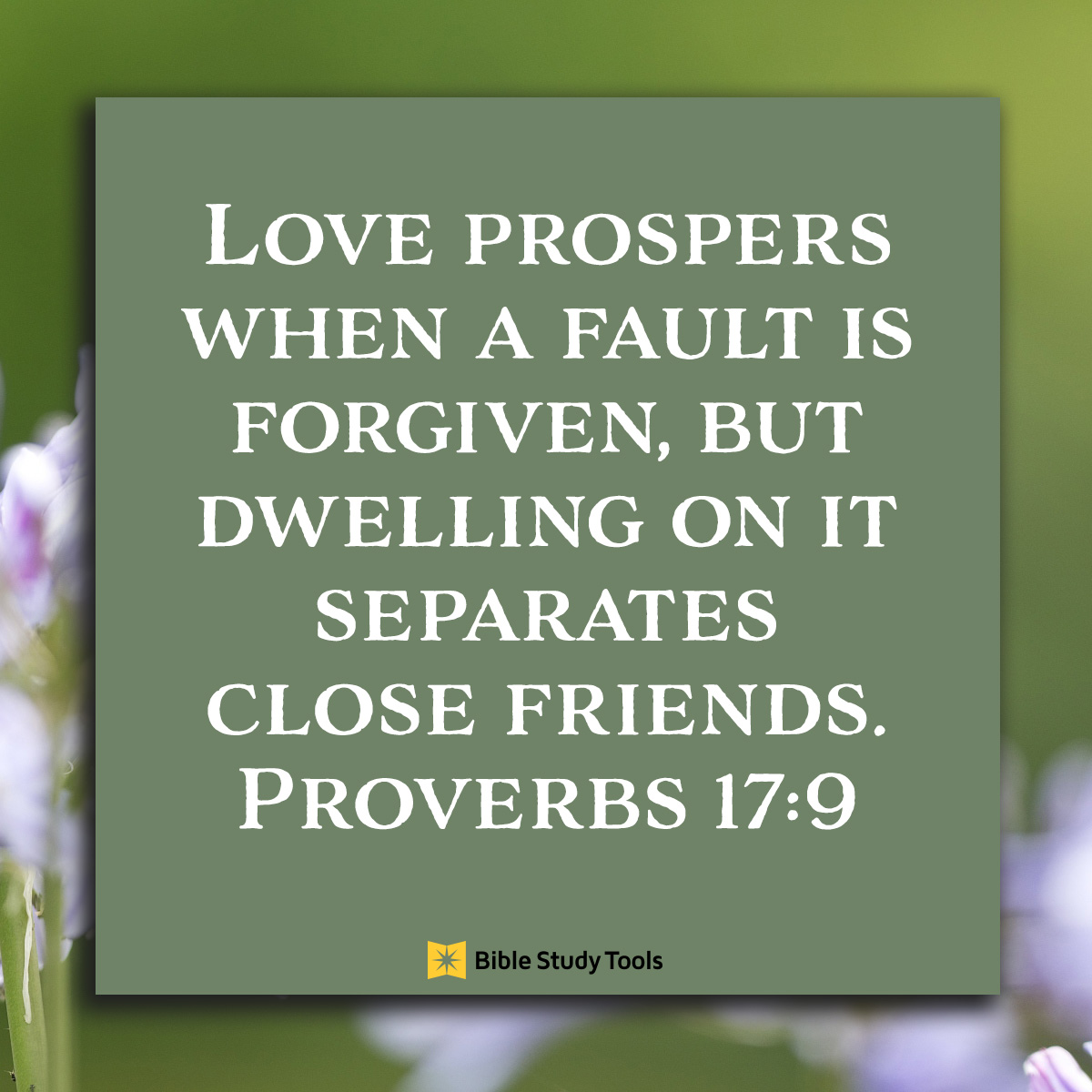 Proverbs 17:9; inspirational image