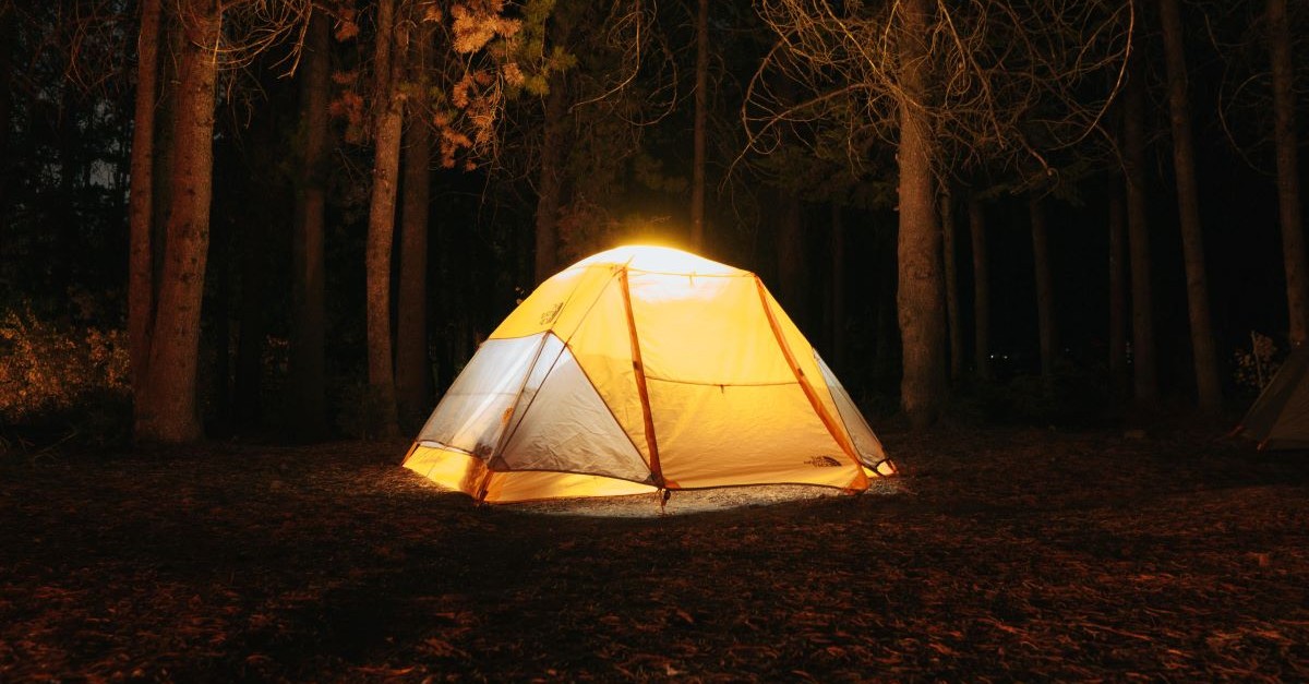 tent woods camping shelter forest night